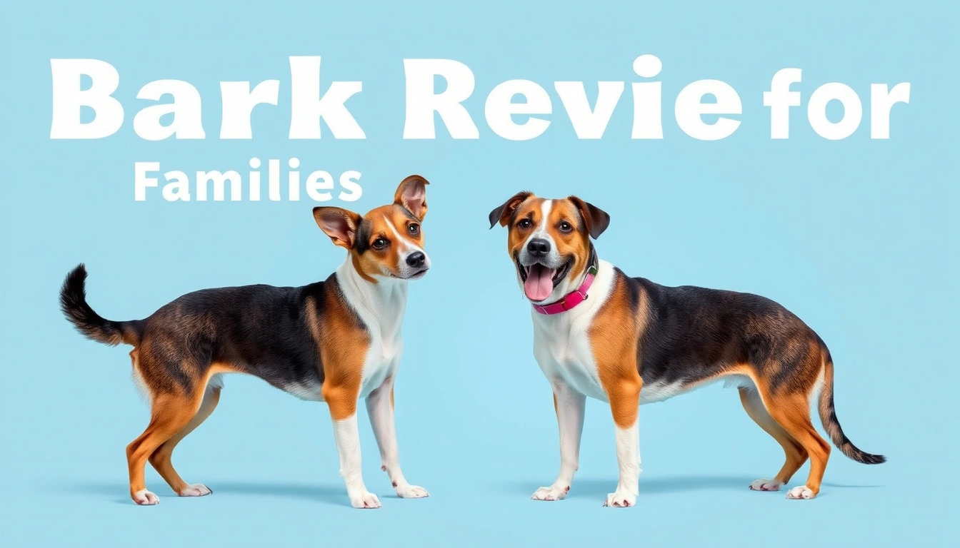 Bark review for families